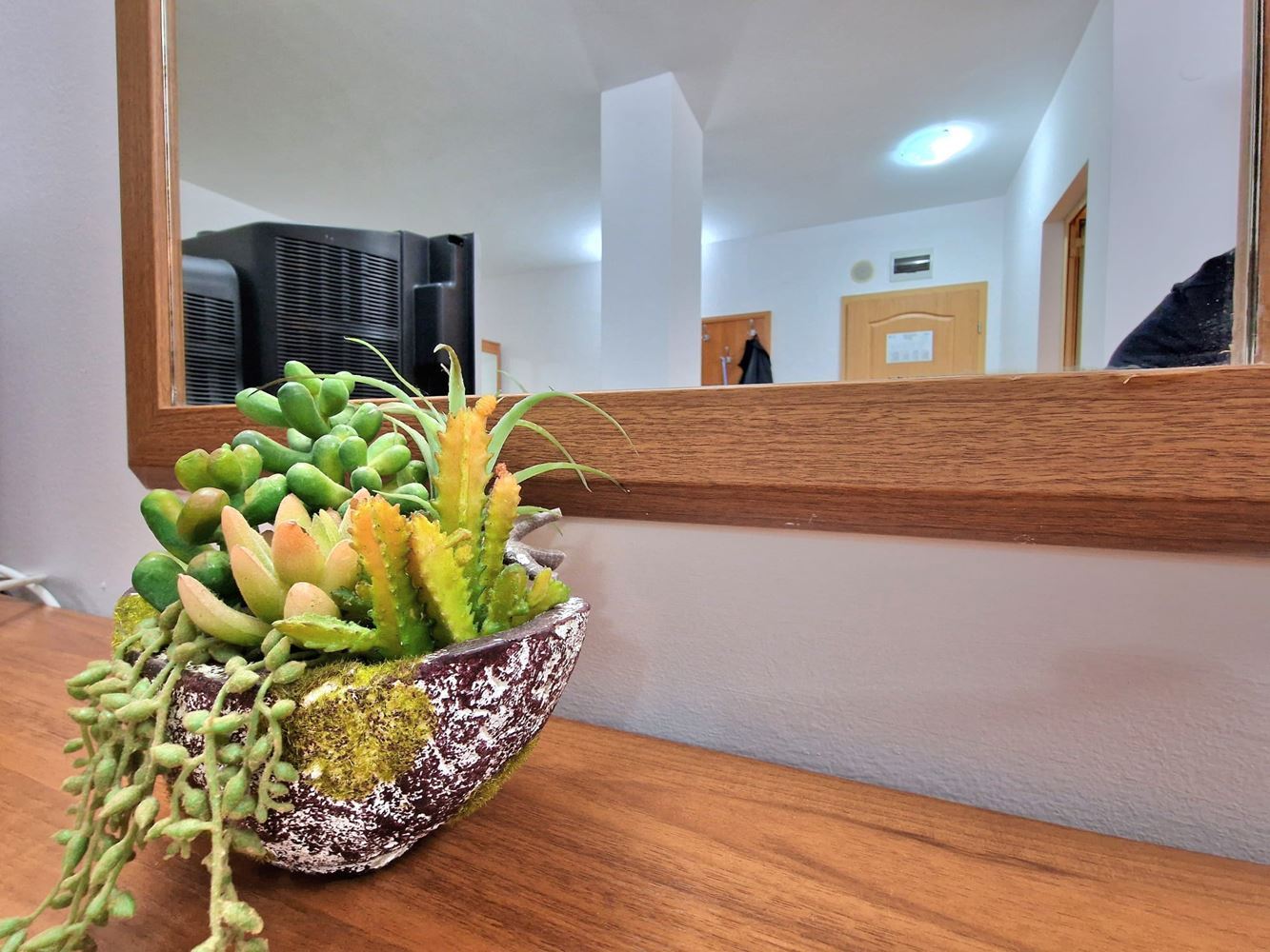 Panoramiczne studio na ostatnim piętrze w Słonecznym Brzegu – cisza, przestrzeń i poczucie swobody