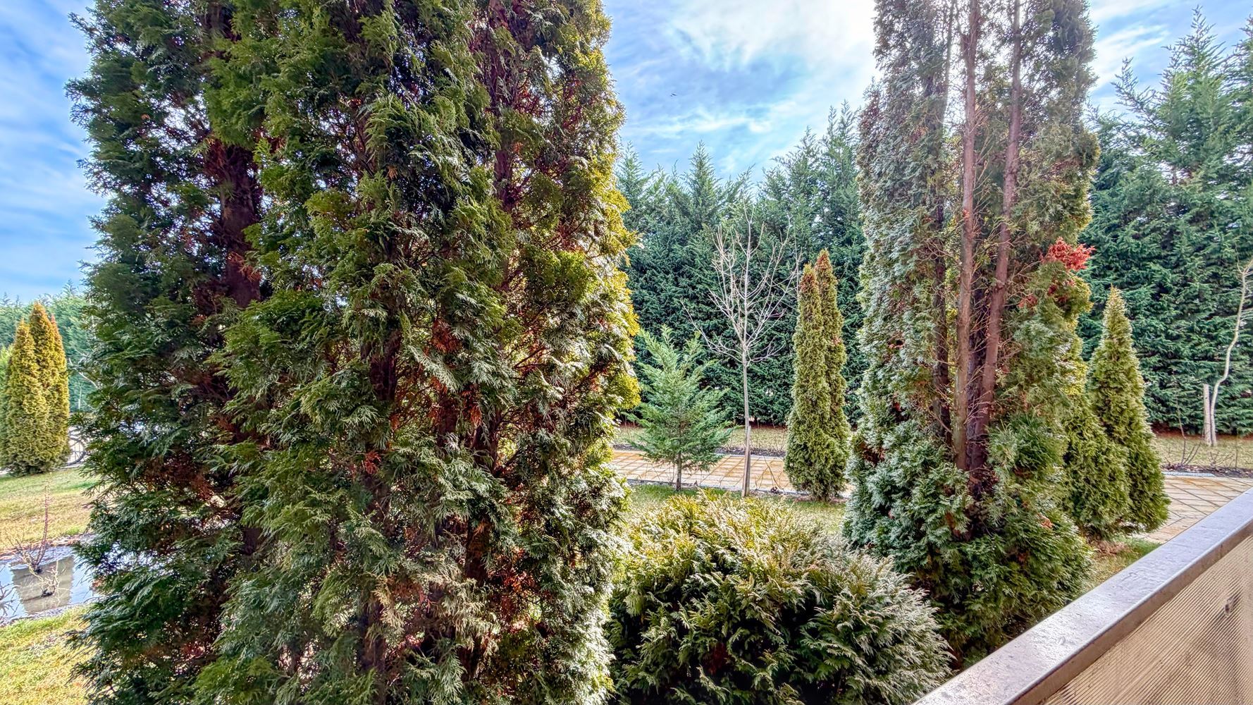 Przestronne studio z tarasem w nowoczesnym kompleksie w Słonecznym Brzegu – komfort i rozrywka w odległości krótkiego spaceru od morza