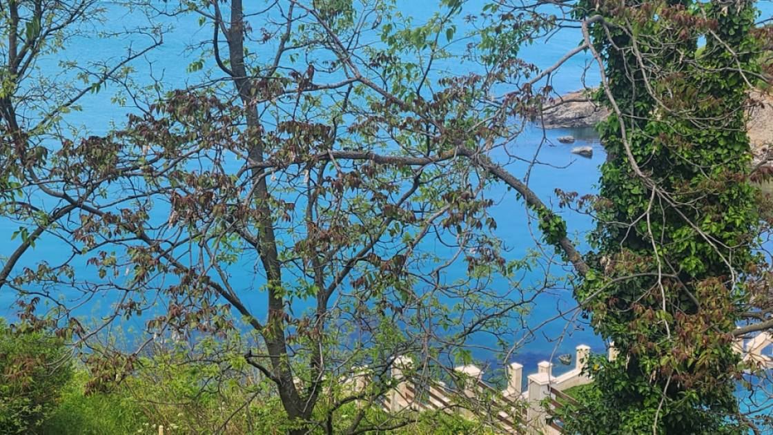 Mieszkanie dwupoziomowe w pierwszej linii brzegowej w Sozopolu z panoramicznymi widokami i butikową lokalizacją