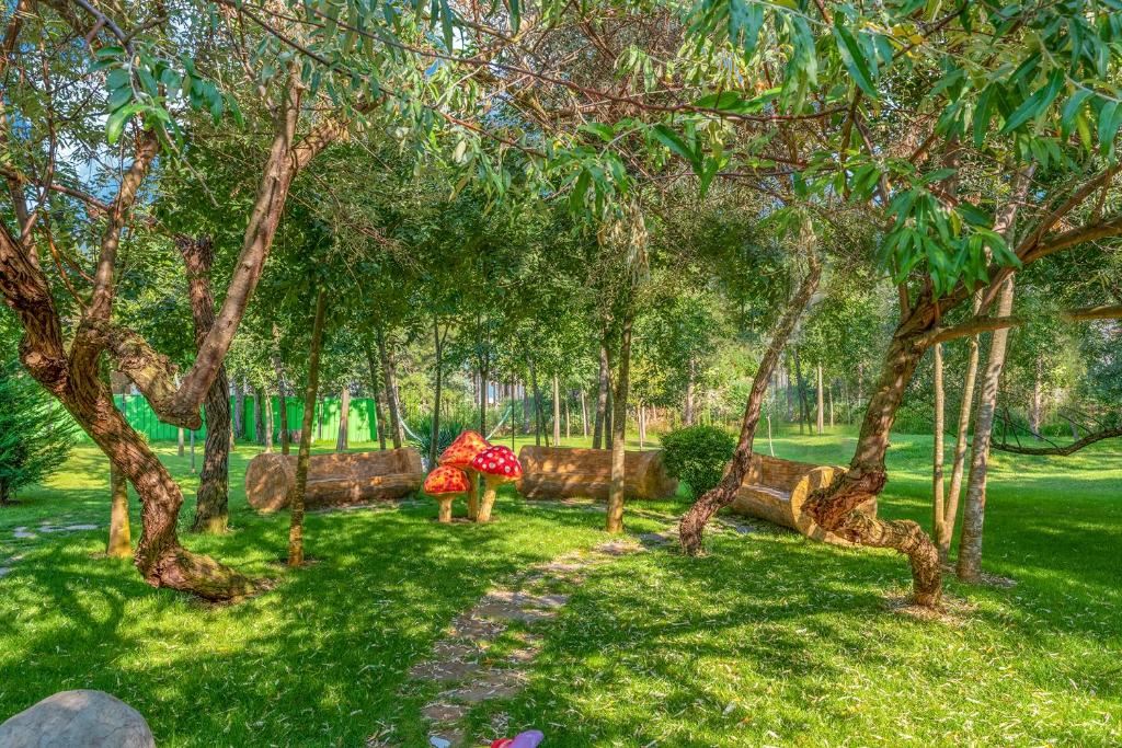 Apartament z jedną sypialnią z widokiem na park i basen w prestiżowym kompleksie w Słonecznym Brzegu